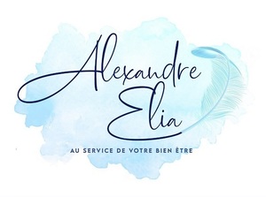 Alexandre Elia Vannes, 